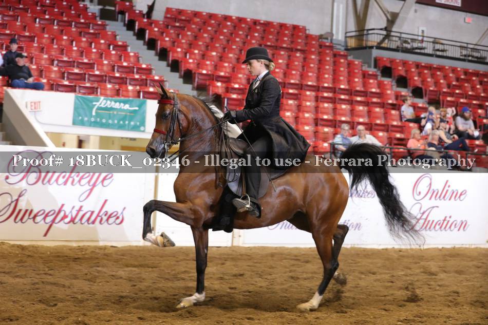 Proof 18BUCK_02346
