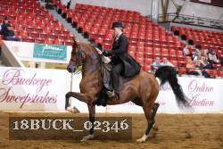 18BUCK_02346 proof