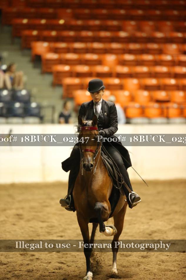 Proof 18BUCK_02347