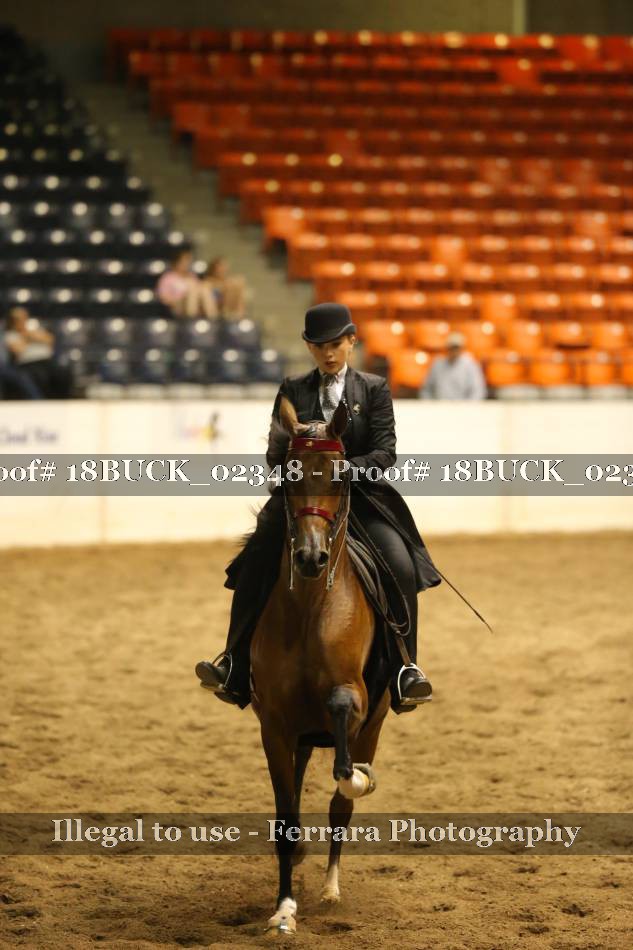 Proof 18BUCK_02348
