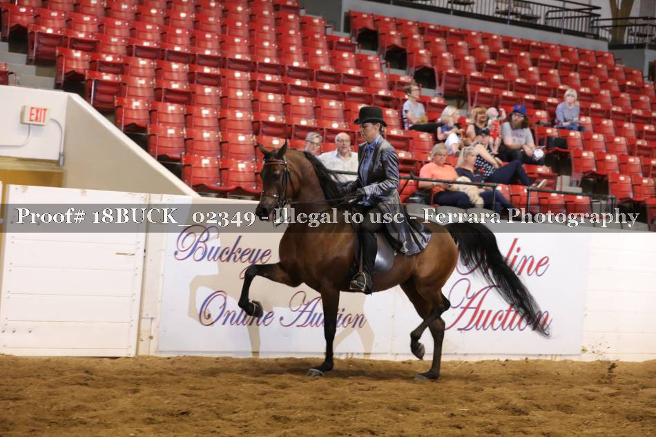 Proof 18BUCK_02349