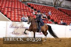 18BUCK_02350 proof