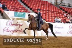 18BUCK_02351 proof