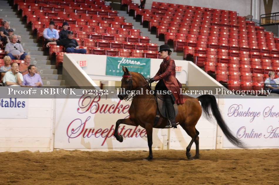 Proof 18BUCK_02352