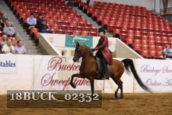 18BUCK_02352 proof