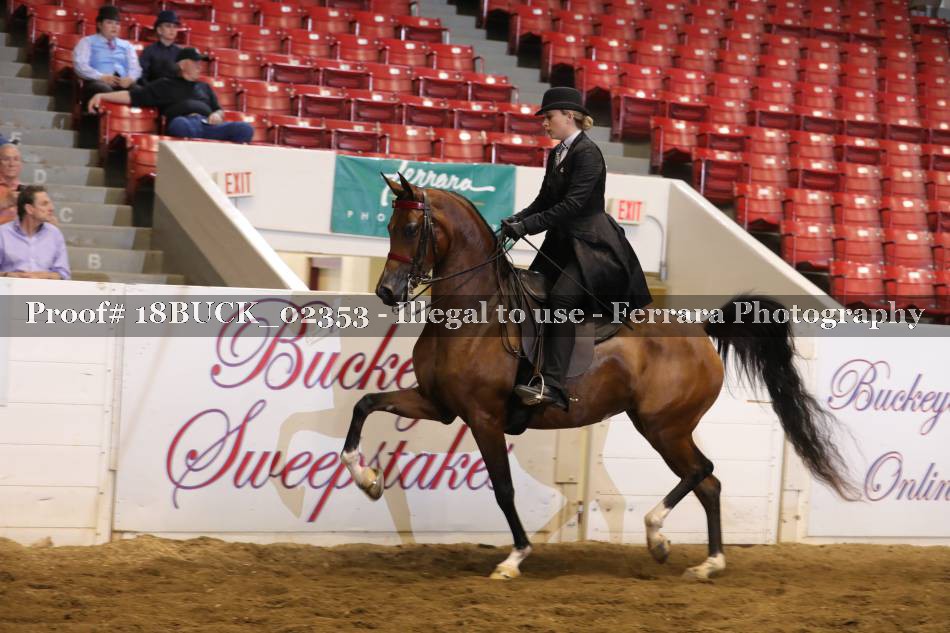 Proof 18BUCK_02353