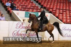 18BUCK_02353 proof