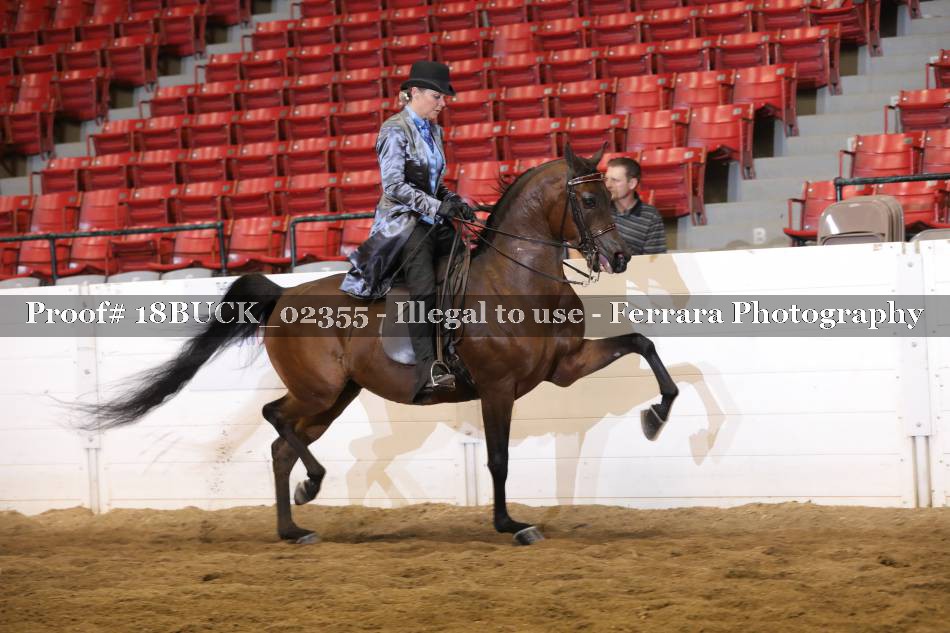 Proof 18BUCK_02355