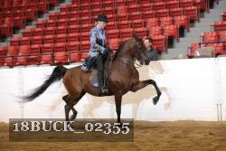 18BUCK_02355 proof