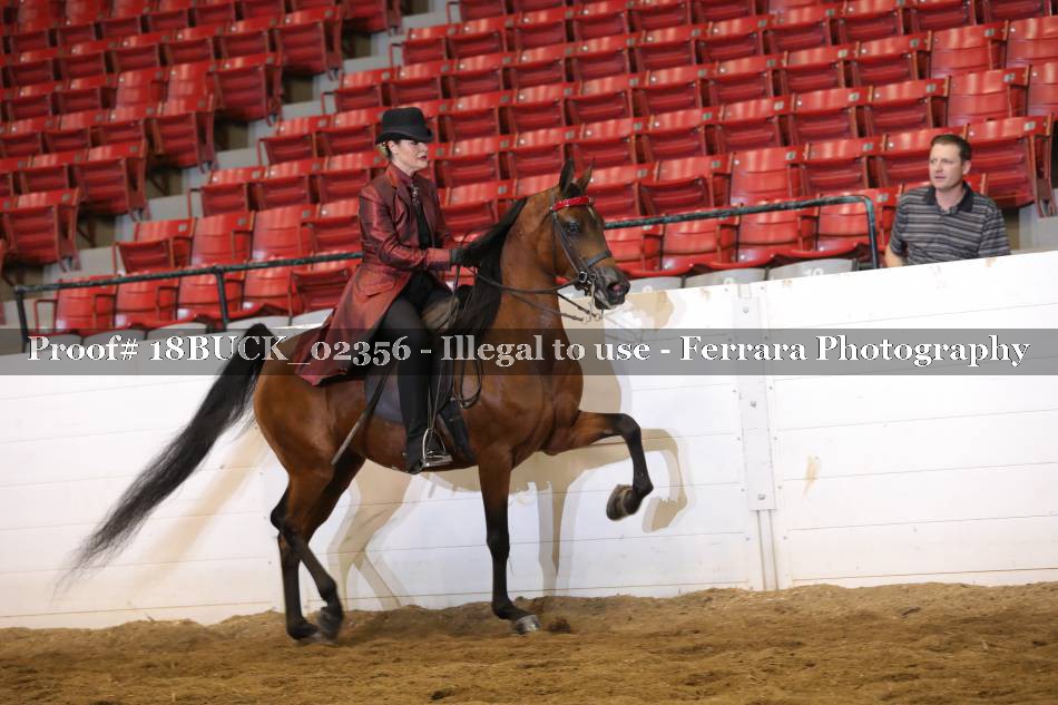 Proof 18BUCK_02356