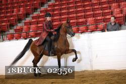 18BUCK_02356 proof