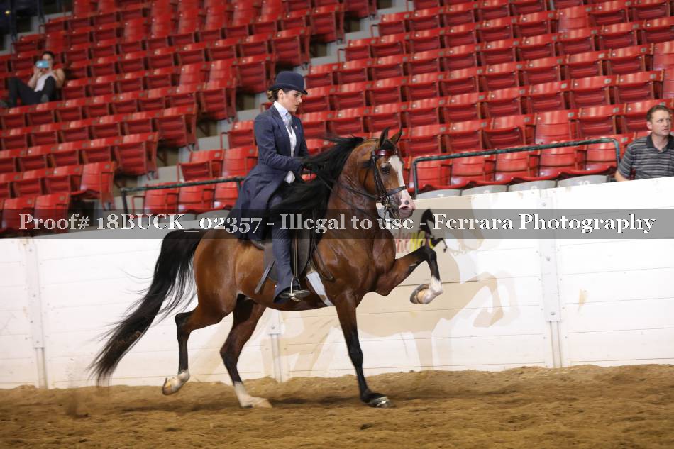 Proof 18BUCK_02357