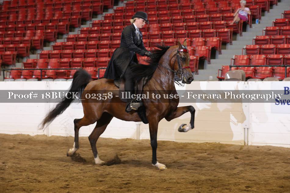 Proof 18BUCK_02358