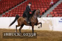 18BUCK_02358 proof