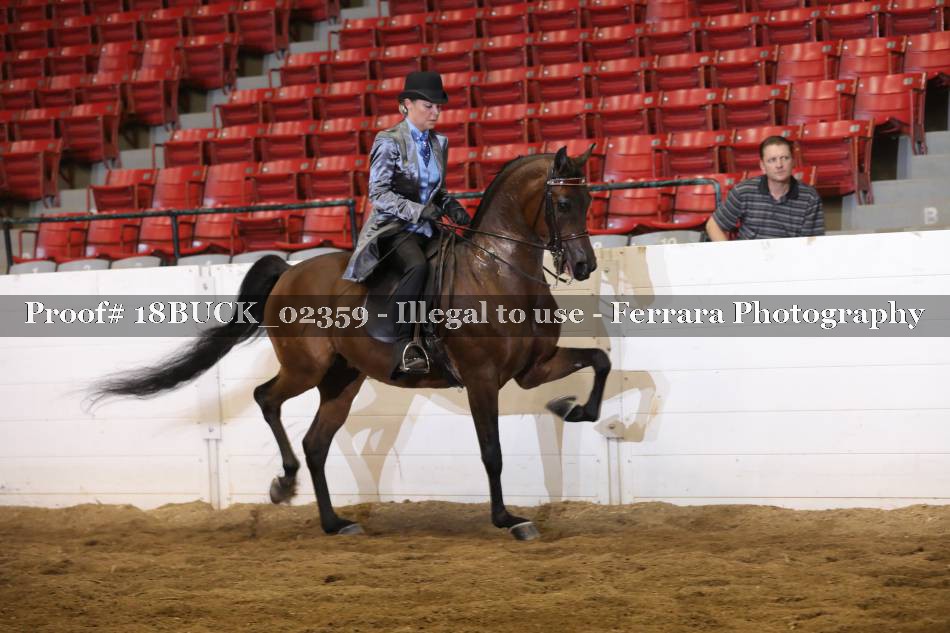 Proof 18BUCK_02359