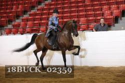 18BUCK_02359 proof