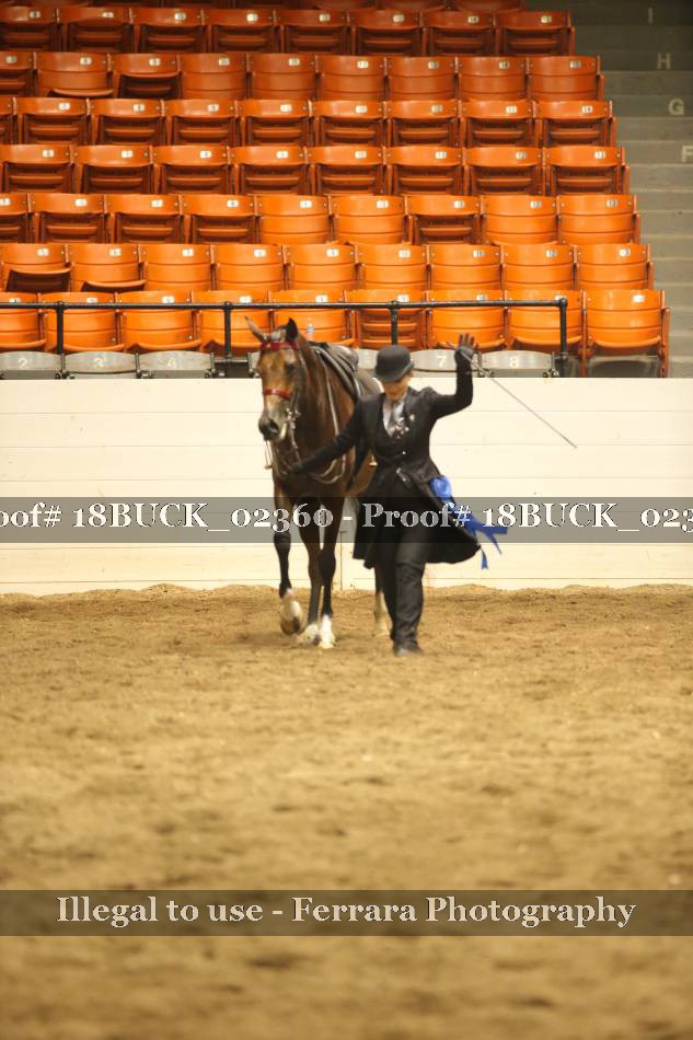 Proof 18BUCK_02360
