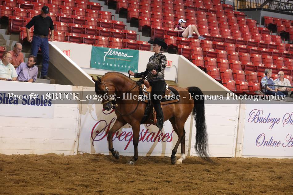 Proof 18BUCK_02362