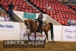 18BUCK_02362 proof