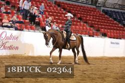 18BUCK_02364 proof