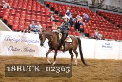 18BUCK_02365 proof