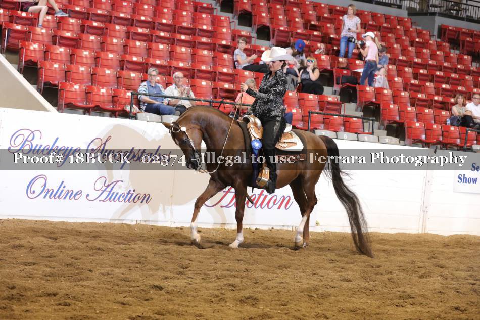 Proof 18BUCK_02374