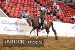 18BUCK_02374 proof