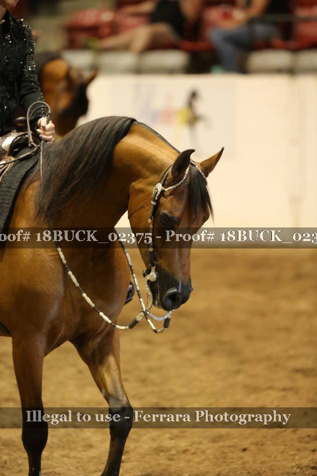Proof 18BUCK_02375