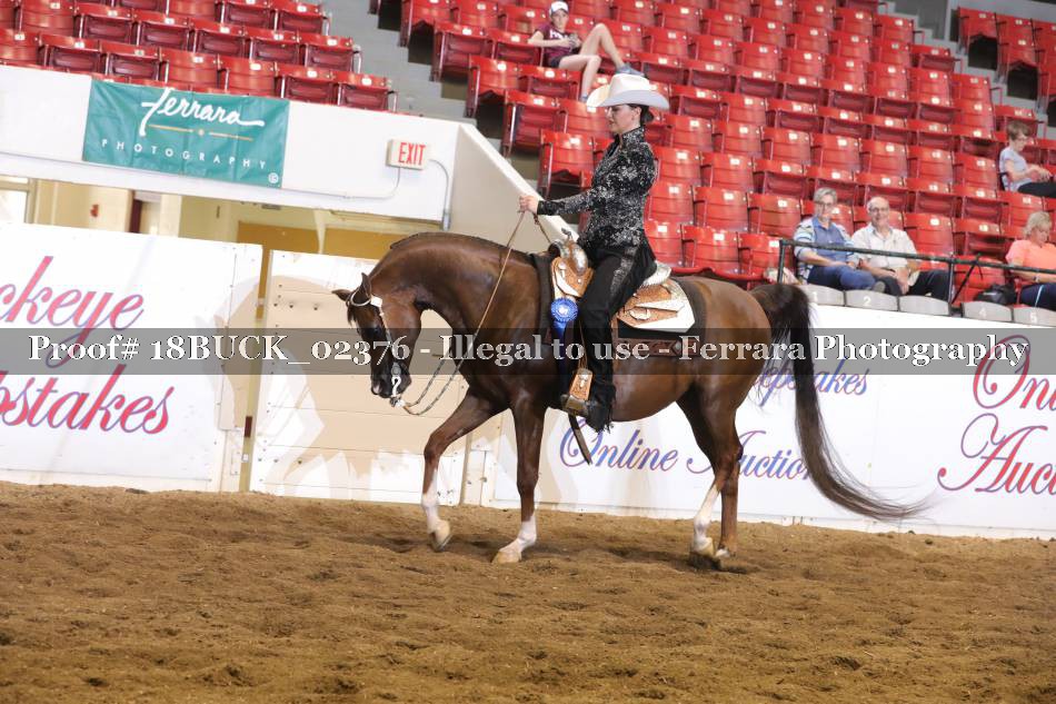Proof 18BUCK_02376