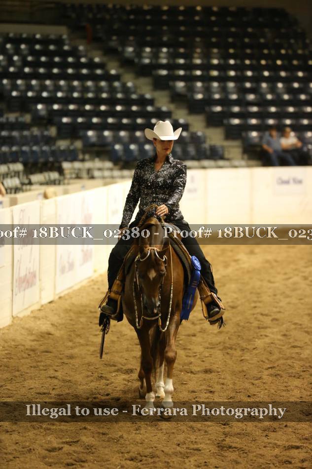 Proof 18BUCK_02380