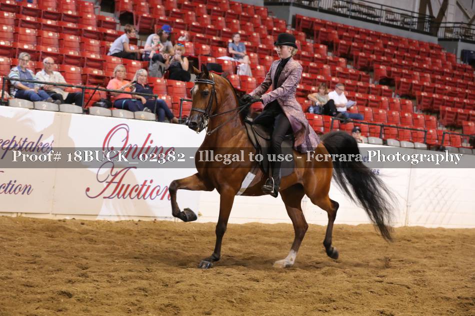 Proof 18BUCK_02382