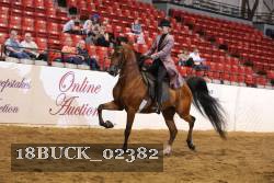 18BUCK_02382 proof