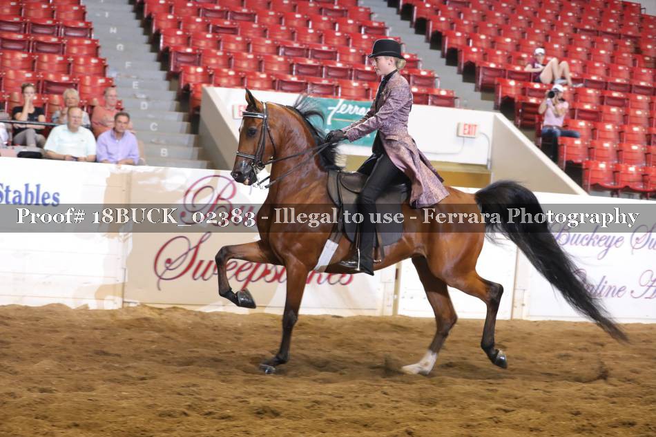 Proof 18BUCK_02383