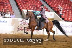 18BUCK_02383 proof