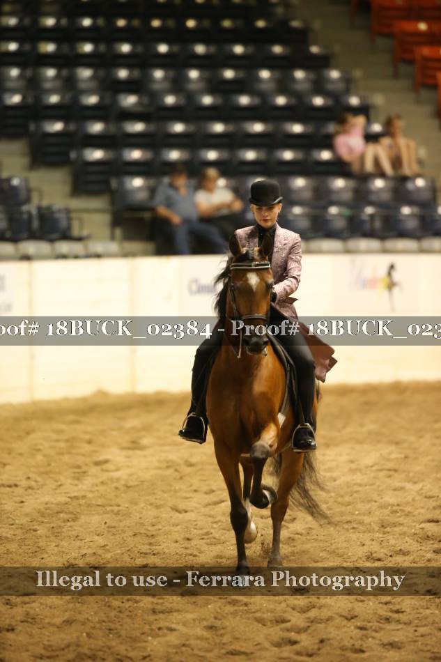 Proof 18BUCK_02384