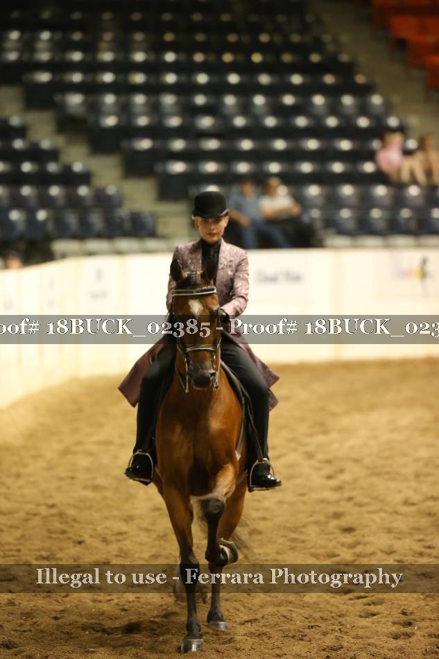 Proof 18BUCK_02385