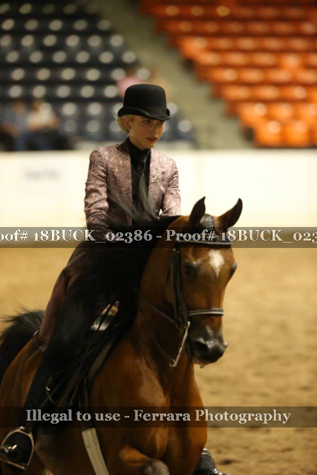 Proof 18BUCK_02386