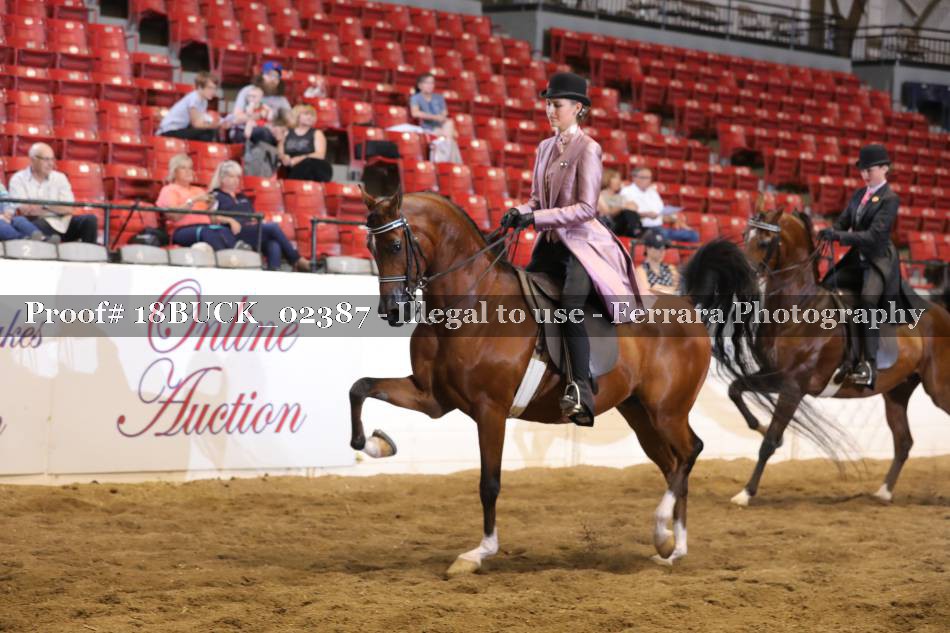 Proof 18BUCK_02387