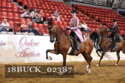 18BUCK_02387 proof