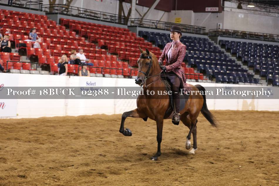 Proof 18BUCK_02388