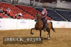 18BUCK_02388 proof
