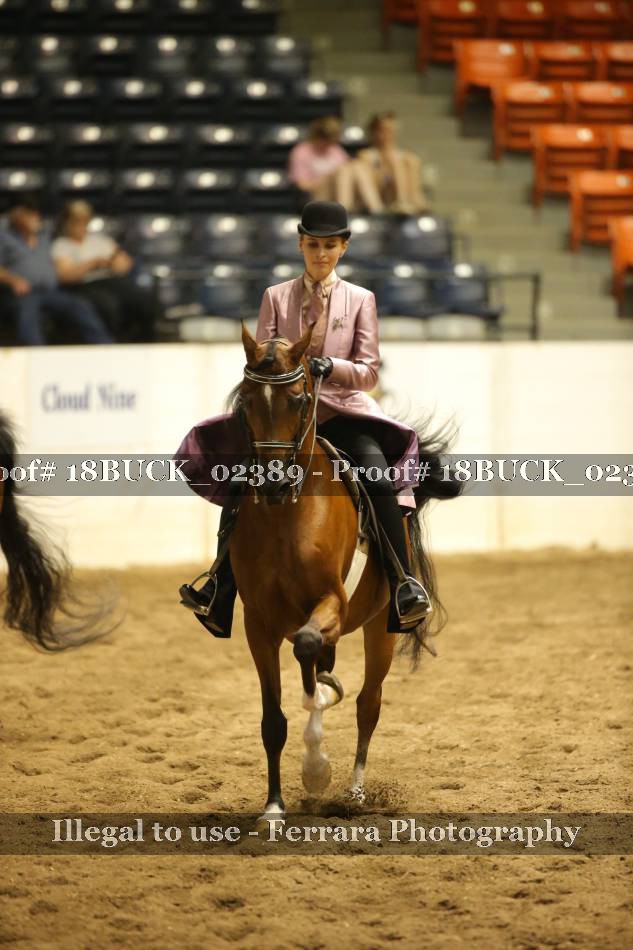 Proof 18BUCK_02389