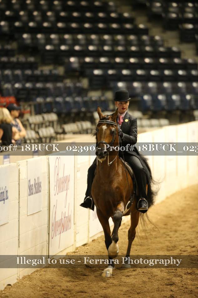 Proof 18BUCK_02390