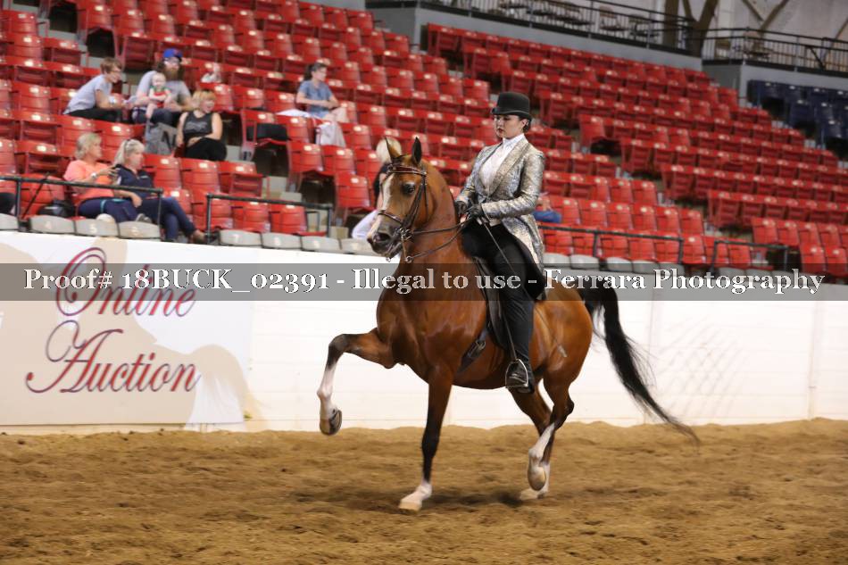 Proof 18BUCK_02391