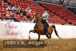 18BUCK_02391 proof