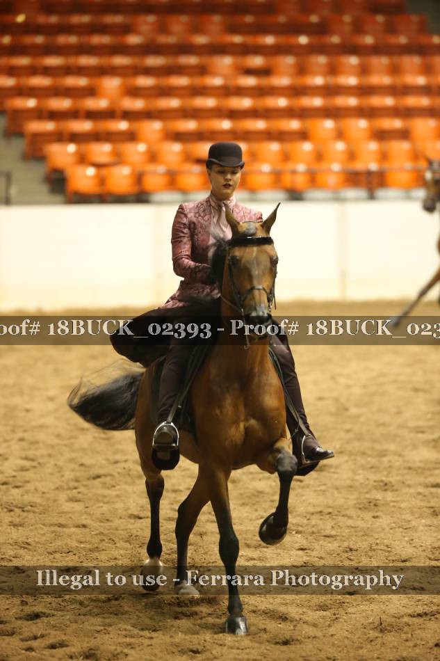 Proof 18BUCK_02393