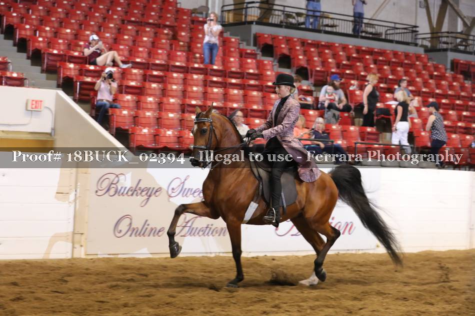 Proof 18BUCK_02394