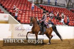 18BUCK_02394 proof