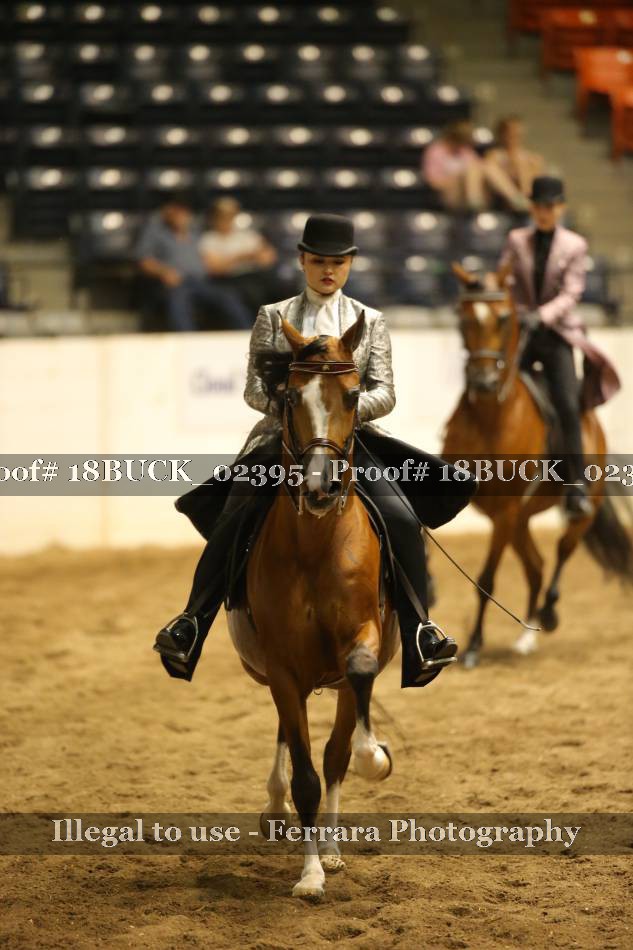Proof 18BUCK_02395