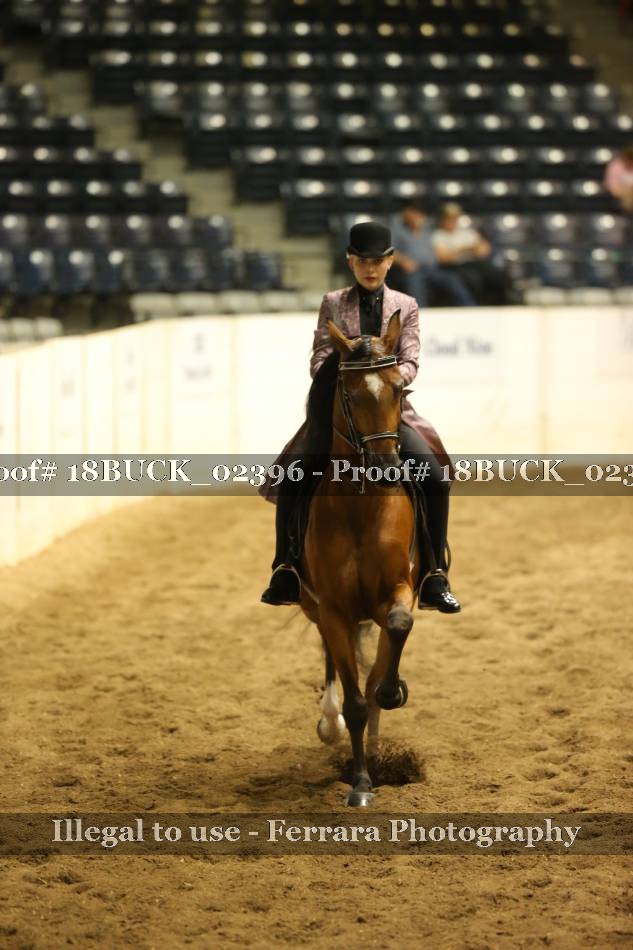 Proof 18BUCK_02396